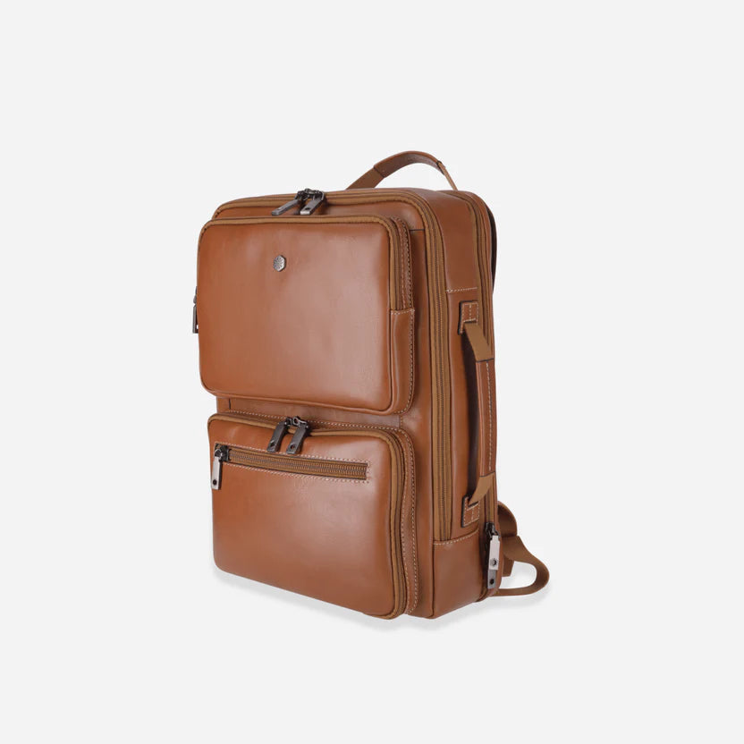 Jekyll & Hide Travel Backpack